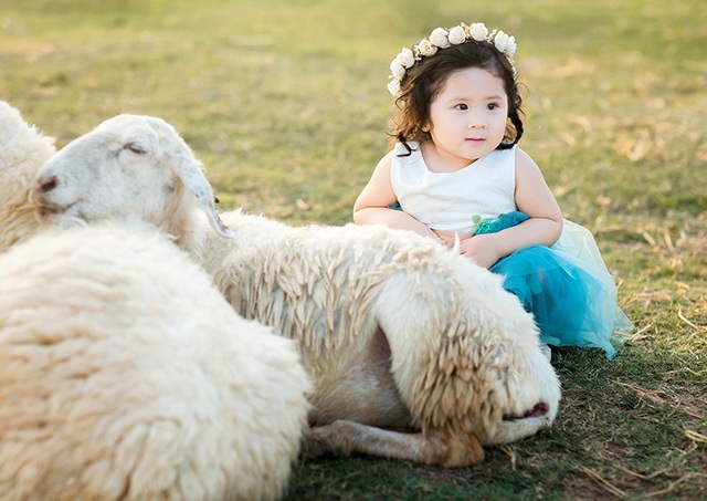 Hình ảnh đáng yêu của bé 2 tuổi làm bạn với bầy cừu - 8