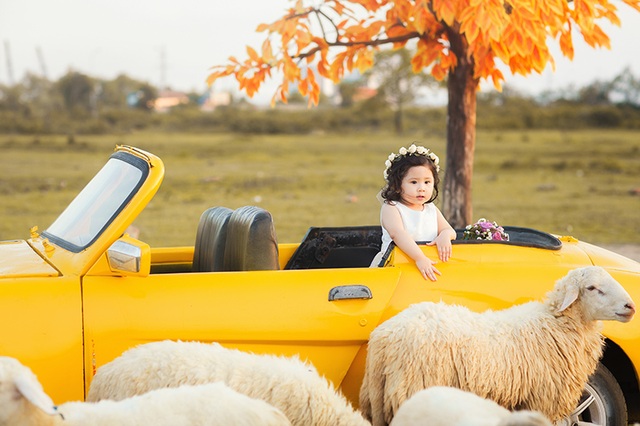 Hình ảnh đáng yêu của bé 2 tuổi làm bạn với bầy cừu - 12 Để có cách dạy con thông minh, gia đình của bé “mẫu nhí” đáng yêu này tìm hiểu qua nhiều sách báo, kết hợp với sự đúc kết quan điểm dạy con của gia đình.