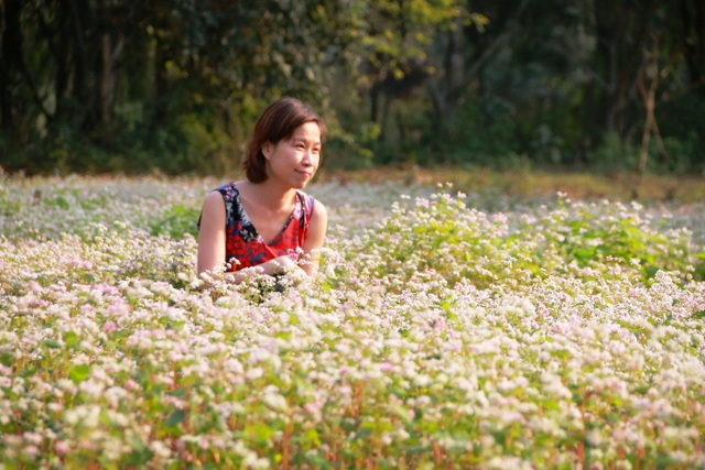 Ngắm vườn hoa tam giác mạch “độc nhất vô nhị” ở Ninh Bình - 11 Ngắm vườn hoa tam giác mạch “độc nhất vô nhị” ở Ninh Bình - 11