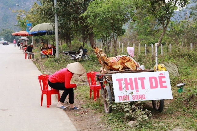 Ninh Bình: Kiếm tiền triệu trong ngày nhờ bán thịt dê - 9
Ngoài dê giết thịt để nguyên con, đồ nghề của những người bán thịt dê chỉ đơn giản là chiếc xe kéo vẫn sử dụng thường ngày đi làm đồng, vài ba chiếc ghế nhựa, chiếc ô che nắng mưa và biển quảng cáo đơn giản. Không phải thực khách nào cũng ghé mua thịt dê bán ven đường như thế này, nhiều người thấy cảnh này còn không khỏi ái ngại bởi các điểm bán thịt dê ven đường như thế này luôn tiềm ẩn nguy cơ mất vệ sinh an toàn thực phẩm cao.