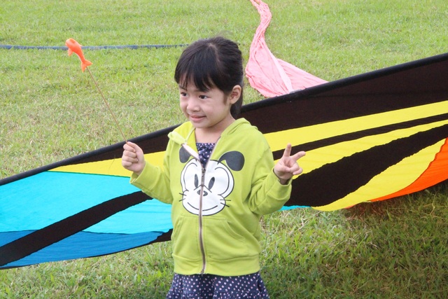 Diều khoe sắc trên bầu trời Cố đô dịp lễ - 10 Diều khoe sắc trên bầu trời Cố đô dịp lễ - 10