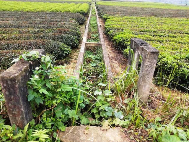 Nghệ An: Công trình thủy lợi tiền tỷ xây xong chờ ngày... phá hủy! - 17 Nghệ An: Công trình thủy lợi tiền tỷ xây xong chờ ngày... phá hủy! - 17