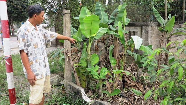 Bị thu hồi đất, dân làm đơn kêu cứu: Đất vàng bị đo thiếu, áp giá “bèo”, dân thiệt đủ đường! - 7 Trong khi gia đình ông Hạnh bị đo từ mép bờ tường rào phía trong thì thửa đất số 144 lại được đo sát ra với mép quốc lộ 46.