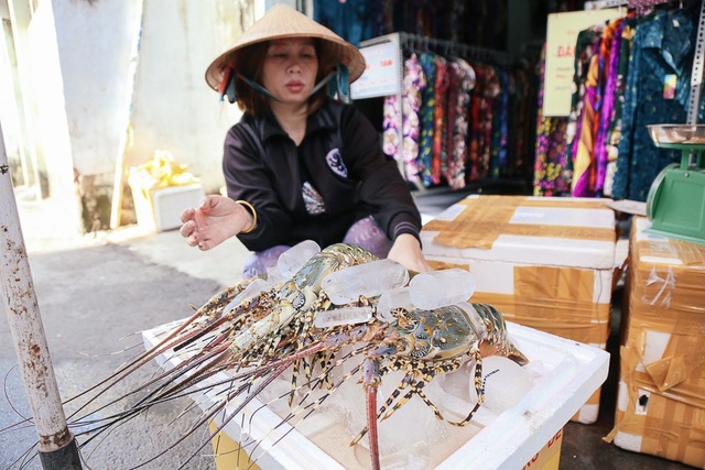 Người dân vùng bão gửi tôm hùm vào Sài Gòn bán tháo kiếm tiền sửa nhà - 3 Do tôm hùm là loại hải sản đắt đỏ nên cũng không mấy người mua