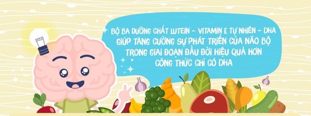 Không chỉ DHA, những dưỡng chất này cũng rất quan trọng với bộ não - 1 Không chỉ DHA, những dưỡng chất này cũng rất quan trọng với bộ não - 1