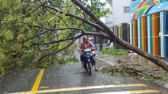 Nha Trang thiệt hại nặng nề nhất trong vòng 20 năm qua - 2 Nha Trang thiệt hại nặng nề nhất trong vòng 20 năm qua - 2