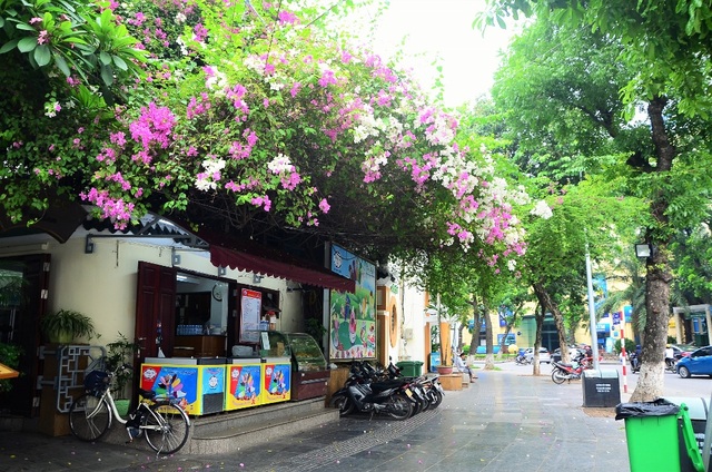 Phố phường Hà Nội lãng mạn với những giàn hoa giấy tuyệt đẹp | Báo ...