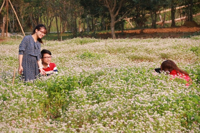 Hạnh phúc bên người mình yêu trong dịp lễ tình nhân tại vườn hoa tam giác mạch hiếm có ở Ninh Bình.