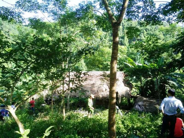 Nghi phạm giết hại vợ chồng tại lán nuôi bò đã tự tử - 1 Hiện trường nơi Thiếu giết hại vợ chồng ông T một cách dã man ngày 26/7/2017.