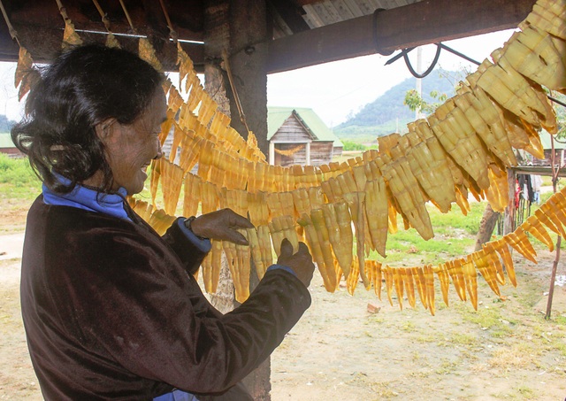 Xây dựng sản phẩm “sạch” trên đại ngàn Tây Nguyên - 4 Sản phẩm măng le An Cát Lợi được lấy từ nguồn nguyên liệu tự nhiên ở vùng Kbang