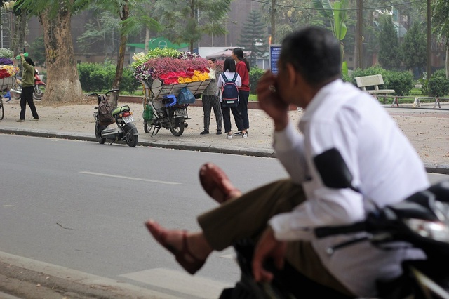 Tinh khôi mùa hoa loa kèn tháng 4 - 6 Ở Hà Nội, hoa loa kèn được bày bán nhiều dọc đường Thanh Niên, Thụy Khuê, Giảng Võ, Nguyễn Chí thanh... Dù có giá bán khá cao, song loài hoa này vẫn thu hút khá đông người mua hàng.