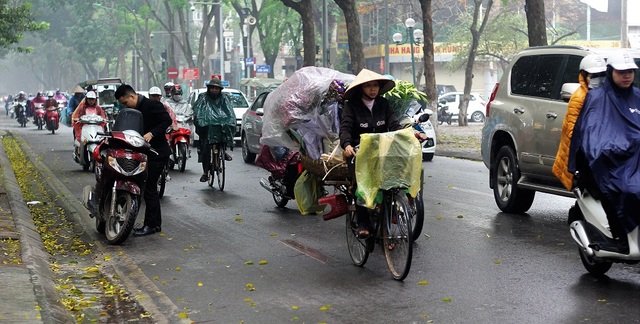 Tinh khôi mùa hoa loa kèn tháng 4 - 3 Năm nay thời tiết nắng ấm nên hoa loa kèn nở sớm mọi khi. Thời điểm này trên khắp các con đường, ngõ phố của Hà Nội đã tràn ngập sắc trắng mộc mạc, tinh khôi của loại hoa này.