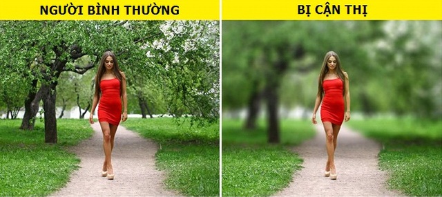Cách con người nhìn thế giới dưới tác động của ma túy sẽ làm bạn phải giật mình - 1 Cách con người nhìn thế giới dưới tác động của ma túy sẽ làm bạn phải giật mình - 1