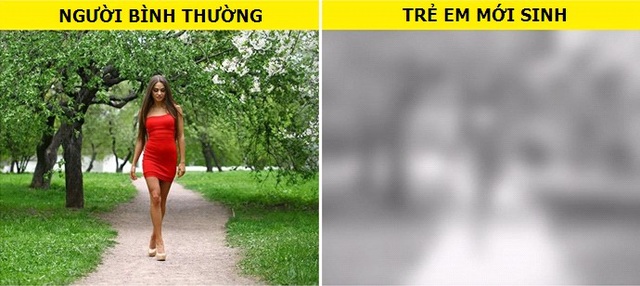 Cách con người nhìn thế giới dưới tác động của ma túy sẽ làm bạn phải giật mình - 3 Cách con người nhìn thế giới dưới tác động của ma túy sẽ làm bạn phải giật mình - 3