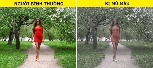Cách con người nhìn thế giới dưới tác động của ma túy sẽ làm bạn phải giật mình - 4 Cách con người nhìn thế giới dưới tác động của ma túy sẽ làm bạn phải giật mình - 4