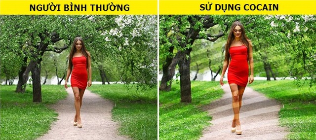 Cách con người nhìn thế giới dưới tác động của ma túy sẽ làm bạn phải giật mình - 6 Cách con người nhìn thế giới dưới tác động của ma túy sẽ làm bạn phải giật mình - 6