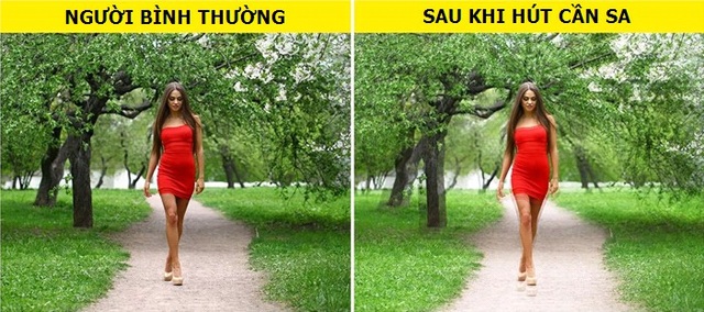 Cách con người nhìn thế giới dưới tác động của ma túy sẽ làm bạn phải giật mình - 7 Cách con người nhìn thế giới dưới tác động của ma túy sẽ làm bạn phải giật mình - 7