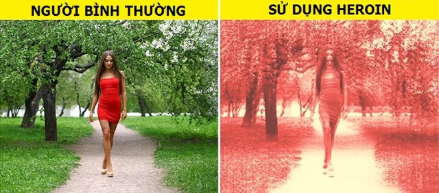 Cách con người nhìn thế giới dưới tác động của ma túy sẽ làm bạn phải giật mình - 8 Cách con người nhìn thế giới dưới tác động của ma túy sẽ làm bạn phải giật mình - 8