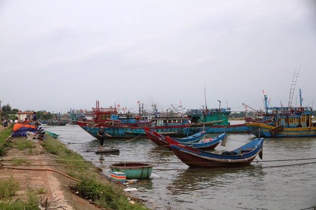 Ngư dân tìm nơi trú ẩn an toàn, tranh thủ bán cá - 1 Ngư dân neo đậu tàu thuyền an toàn