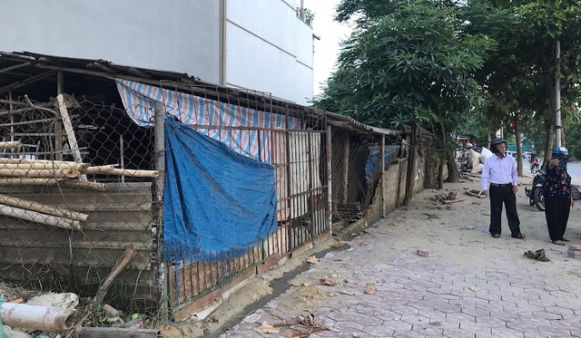 Hơn 13 năm, 10 phiên tòa mòn mỏi đi đòi một mảnh đất: Có bỏ lọt “tội phạm”? - 12 Mảnh đất của mẹ bà Hiên để lại cho con đã hơn 13 năm ông Nam con rể được uỷ quyền theo kiện đến nay vẫn chưa thể lấy lại. Mảnh đất này, dù đã có văn bản bà Cúc giao lại cho Nhà nước, song nay bà Cúc vẫn cho người khác thuê làm cốp pha.