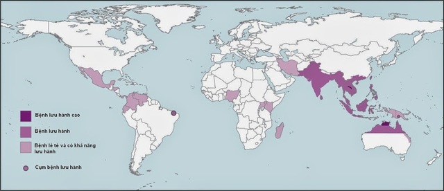89.000 người chết trên thế giới do bệnh truyền nhiễm nguy hiểm Melioidosis - 4 Bản đồ phân bố bệnh Melioidosis với sự phân bố bệnh cao ở Đông Nam Á và phía Bắc Úc (nguồn: Bệnh viện Bệnh Nhiệt đới Trung ương)