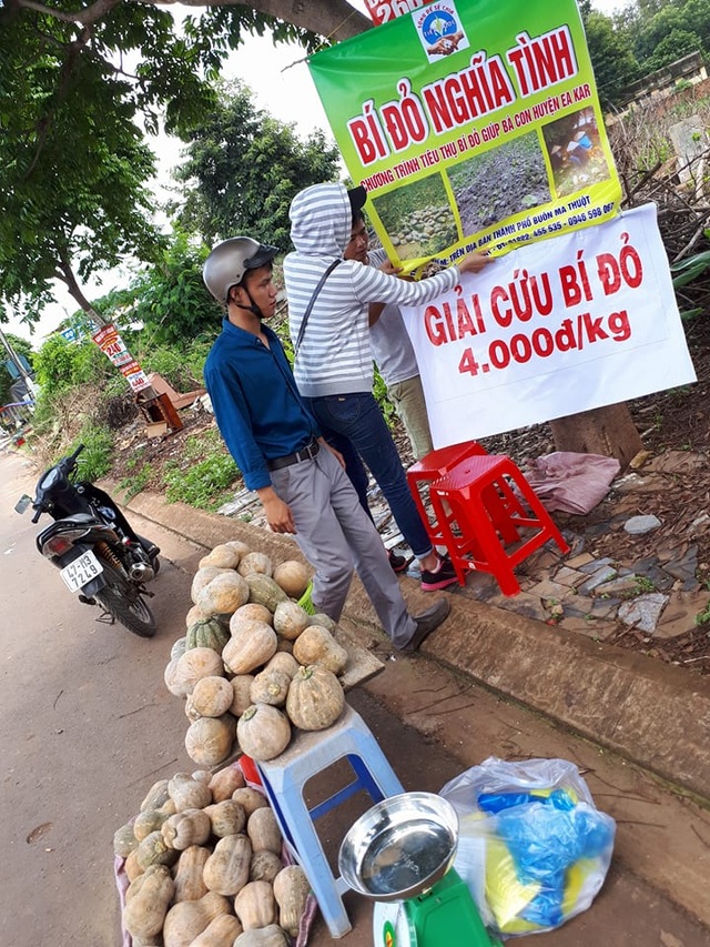 Nông dân khóc ròng vì chục ký bí đỏ không mua nổi tô bún - 4
Nhiều bạn trẻ đã “giải cứu” bí đỏ với giá 4.000 đồng/kg cho nông dân