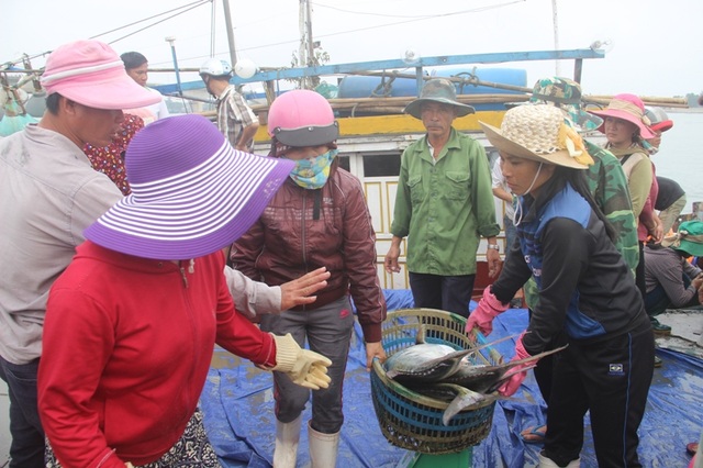 Một ngư dân đánh được cả trăm tấn cá bè, có ngay 4 tỷ đồng - 3
Khi biết tin anh Tuấn trúng đậm chuyến biển này, nhiều tiểu thương đã tập trung tại cảng Cửa Việt để mua hàng, đi phân phối