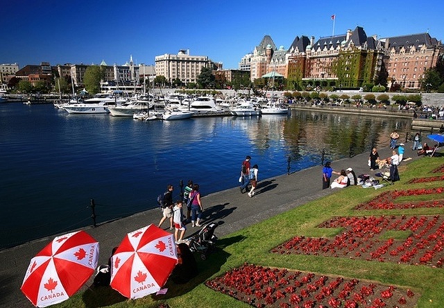Định hướng nghề nghiệp tại Ngày hội Du học Victoria Canada - 1 Định hướng nghề nghiệp tại Ngày hội Du học Victoria Canada - 1