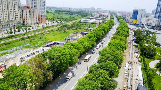 Cận cảnh tuyến đường Hà Nội dự kiến chặt hạ hơn 1300 cây xanh - 4
Hàng cây xanh mướt đoạn công viên Hoà Bình chờ di dời và chặt hạ.