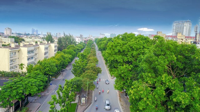 Hàng cây xà cừ cuối cùng trên đường Kim Mã trước ngày đánh chuyển - 1
Sở Xây dựng Hà Nội vừa cấp phép đánh chuyển, chặt hạ 130 cây xanh trên đường Kim Mã. Công việc dự kiến sẽ được tiến hành từ 12/9.