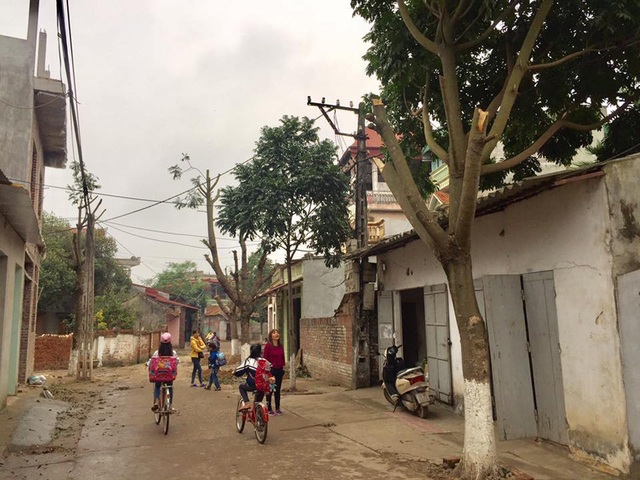 Hàng loạt cây xanh bị chặt hạ trong chiến dịch "đòi" vỉa hè của Hà Nội - 6 Hàng loạt cây xanh bị chặt hạ trong chiến dịch "đòi" vỉa hè của Hà Nội - 6