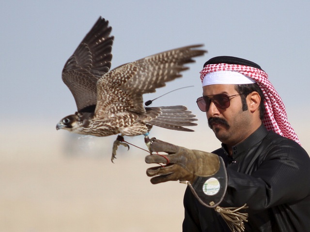Qatar chi 1 tỷ USD chuộc thành viên Hoàng gia bị bắt cóc? - 1
Ảnh minh họa: Reuters