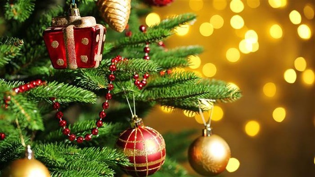 Vì sao lễ Giáng sinh nhất định phải có cây thông? - 3 Vì sao lễ Giáng sinh nhất định phải có cây thông? - 3