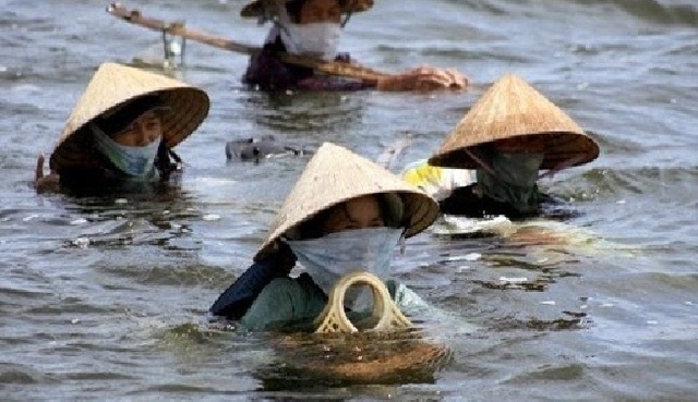 Công bố 6 tour du lịch đầm phá riêng chỉ có ở vùng đầm phá Quảng Điền - 8 ... hoặc đạp Trìa