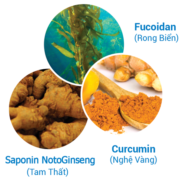 Cách nào ngăn ngừa suy kiệt cho bệnh nhân ung bướu?! - 2 Cách nào ngăn ngừa suy kiệt cho bệnh nhân ung bướu?! - 2