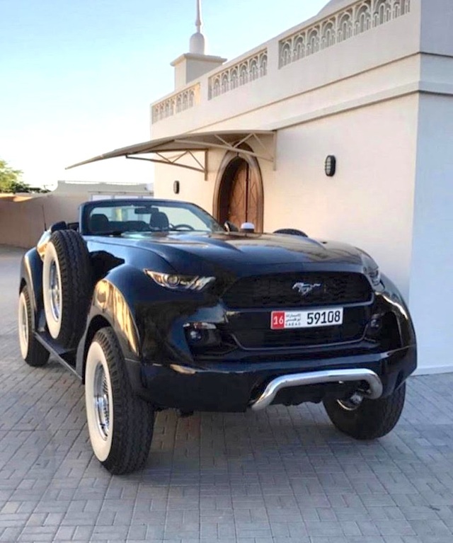 Khi Ford Mustang trở thành xe việt dã - 1 Khi Ford Mustang trở thành xe việt dã - 1