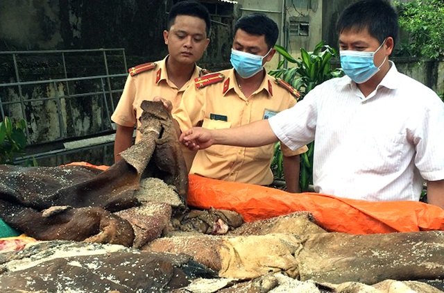 Hơn 1 tấn da trâu bò không rõ nguồn gốc - 1 Lực lượng chức năng kiểm tra số da trâu bò.