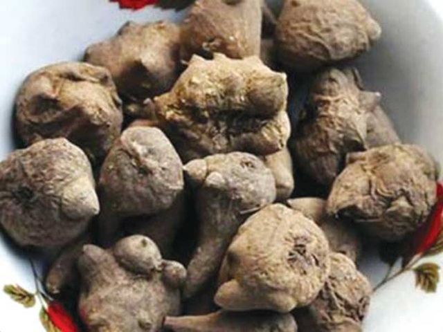Những món ăn Việt ngon miệng nhưng tiềm ẩn nguy hiểm - 2 Củ ấu tẩu có thể dễ dàng tìm thấy ở một vài tỉnh vùng cao miền Bắc như Cao Bằng, Lào Cai...