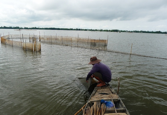An Giang mạnh tay cấm khai thác cá “trời cho” - 1
Do An Giang mạnh tay trong việc cấm khai thác cá linh non nên tình trạng đặt đáy, dớn... bắt cá trời cho giảm hẳn (ảnh minh họa)