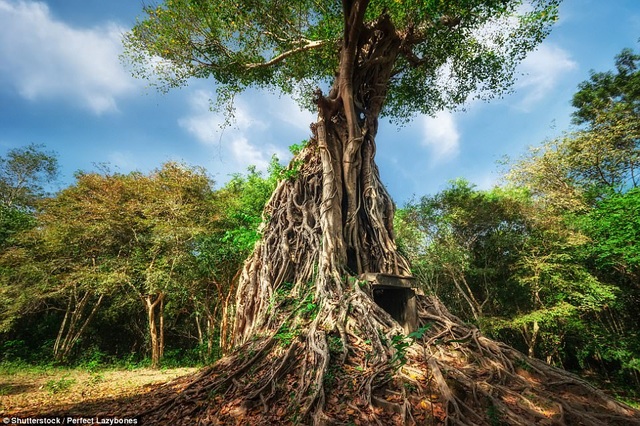 Những di sản mới vừa được UNESCO công nhận - 1 Những di sản mới vừa được UNESCO công nhận - 1