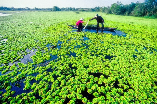 
Những hình ảnh chỉ có thể tìm thấy nếu bạn đến thăm miền Tây (Ảnh: hatru.net).
