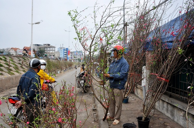Thú mua đào rừng chơi sau Tết ở Hà Nội - 7
Không khí mua bán khá tấp nập tại chợ Quảng An những ngày đầu năm mới.