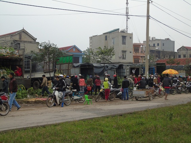 Tranh thủ tạnh mưa, người dân đổ xô đi sắm tết - 1
Trời hết mưa, người dân Quảng Bình bắt đầu đổ xô đi sắm tết
