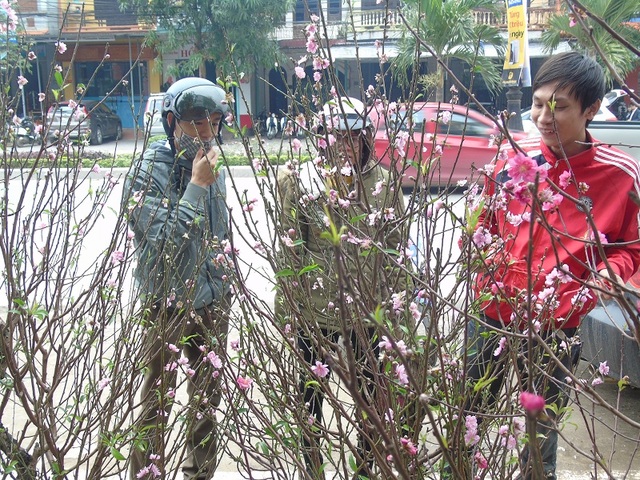 Tranh thủ tạnh mưa, người dân đổ xô đi sắm tết - 5 Giá đào năm nay được đánh giá cao hơn so với mọi năm