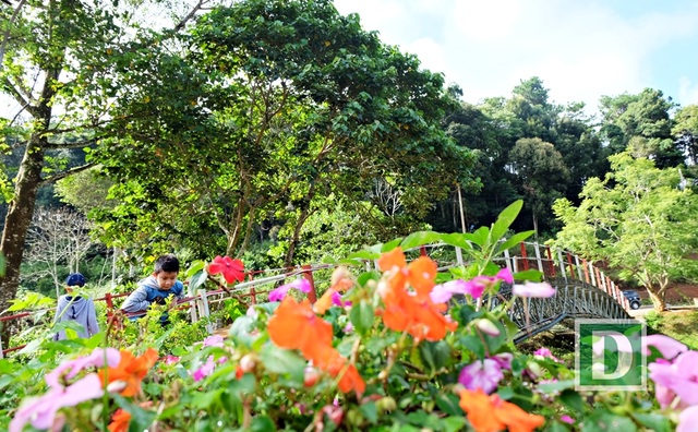 
LÃ  má»t vÃ¹ng khÃ­ háº­u mÃ¡t máº», MÄng Äen khÃ´ng chá» lÃ  nÆ¡i rá»«ng xanh, hoa tháº¯m.
