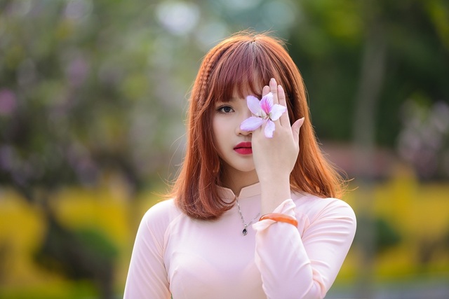 Nữ sinh Hà thành dịu dàng trong sắc hoa ban - 14 Nữ sinh Hà thành dịu dàng trong sắc hoa ban - 14