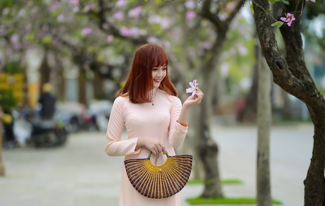 Nữ sinh Hà thành dịu dàng trong sắc hoa ban - 2 Nữ sinh Hà thành dịu dàng trong sắc hoa ban - 2