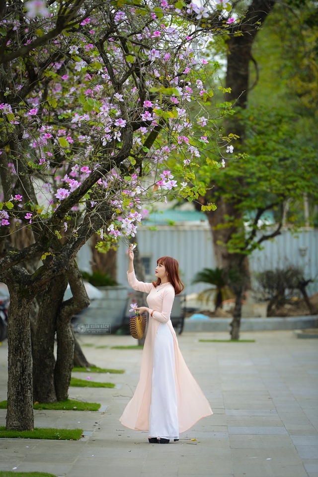 Nữ sinh Hà thành dịu dàng trong sắc hoa ban - 4 Nữ sinh Hà thành dịu dàng trong sắc hoa ban - 4