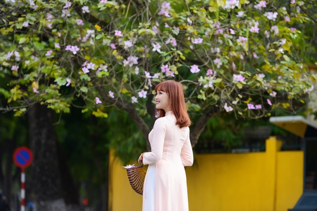 Nữ sinh Hà thành dịu dàng trong sắc hoa ban - 9 Nữ sinh Hà thành dịu dàng trong sắc hoa ban - 9