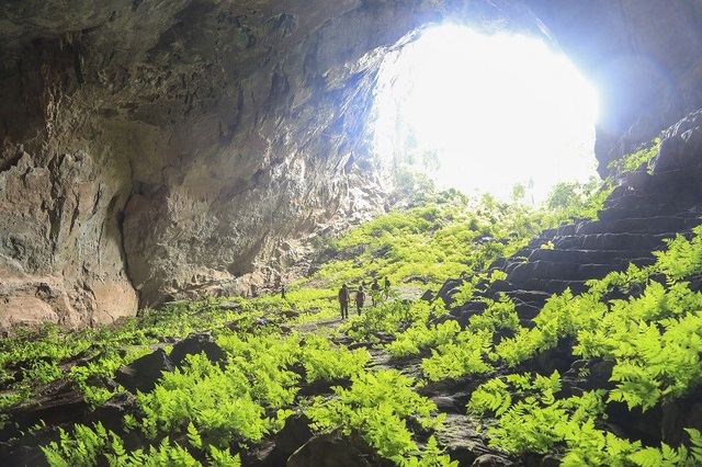 Đưa 3 hang động ở “vương quốc hang động” Phong Nha vào khai thác - 8 ... và hang Pygmy